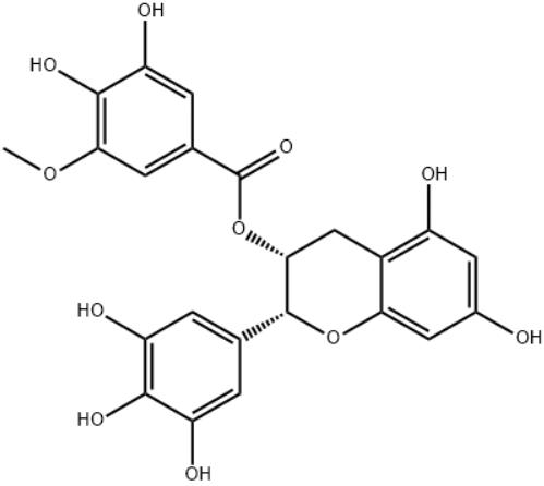 Epigallocatechin 3-O-(3-O-Methyl)-Gallate